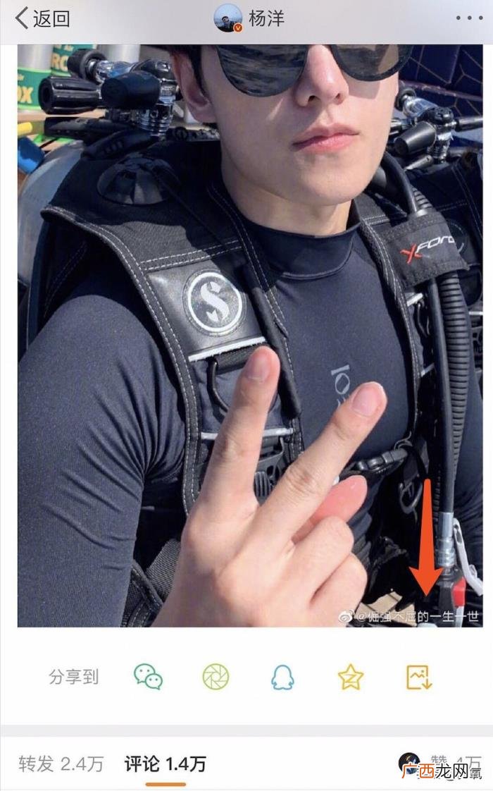 杨菲洋微博，微博bug导致杨洋发微博显示其他账号