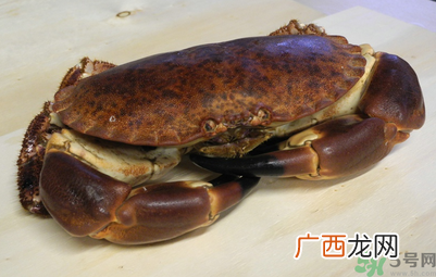 面包蟹多少钱一斤？面包蟹多少钱一只？