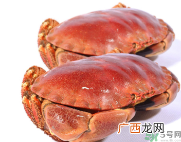 面包蟹多少钱一斤？面包蟹多少钱一只？