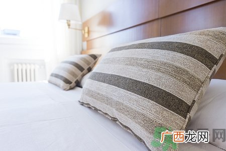 决明子枕头会长虫吗?决明子枕头长虫怎么办