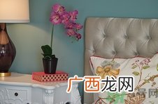 决明子枕头会长虫吗?决明子枕头长虫怎么办