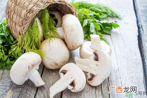 蘑菇和茄子能一起吃吗？蘑菇和茄子一起吃会中毒吗？