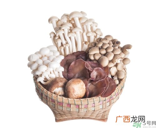 蘑菇和茄子能一起吃吗？蘑菇和茄子一起吃会中毒吗？