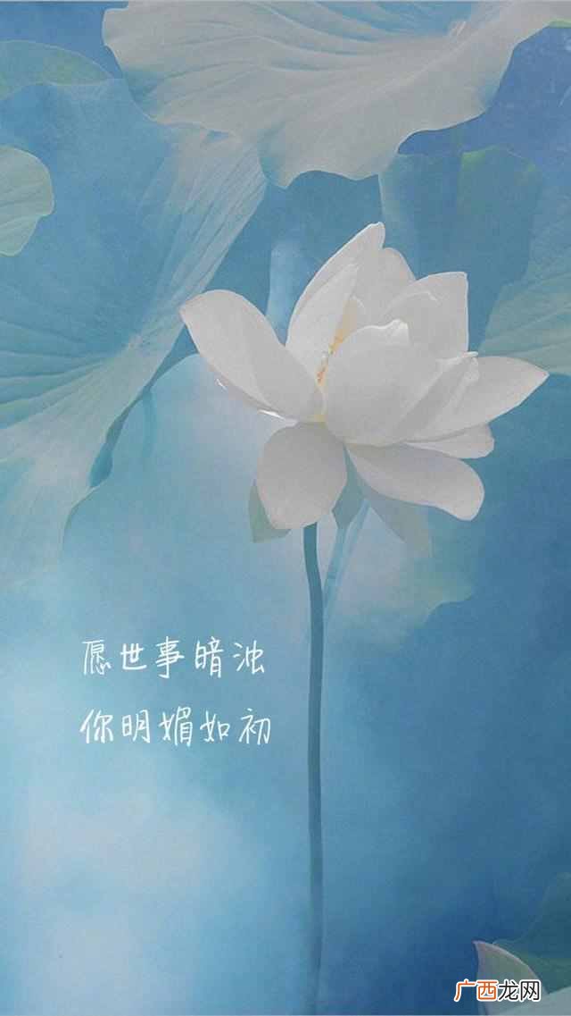 患得患失是一种什么感受 患得患失什么意思