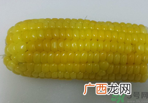 煮熟的玉米能钓鱼吗？煮熟的玉米能直接钓鱼吗？