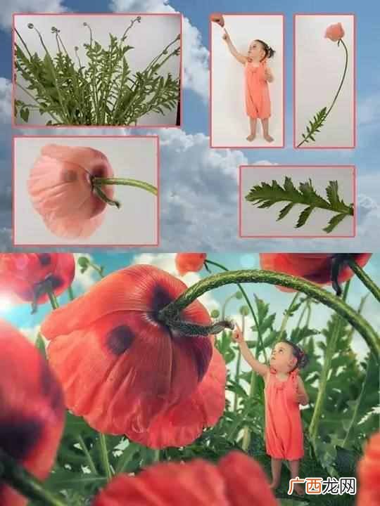 你会ps吗 ps是什么意思