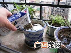 牛奶过期了还能喝吗？牛奶过期了如何利用？