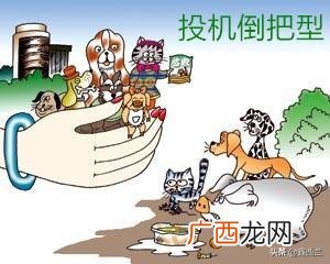 网络创业的几种形式 有研究指出创业网络有3种类型