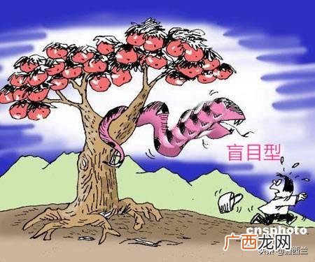 网络创业的几种形式 有研究指出创业网络有3种类型