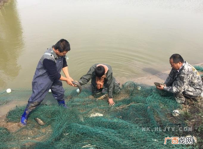 黑鱼一亩地能养多少 黑鱼养殖地