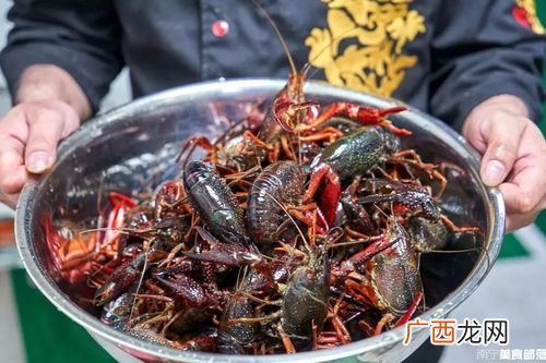 潜江最大的龙虾养殖基地 湖北潜江龙虾养殖