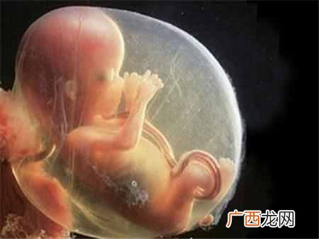 第一次胎动的感觉你知道吗 胎动是什么感觉