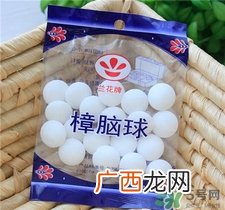 樟脑丸对蟑螂有用吗?樟脑丸的功效与作用