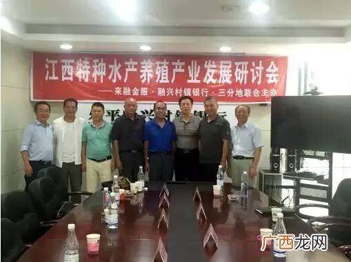 江西豪猪养殖 江西张斌华养殖基地