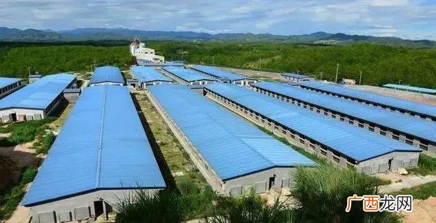 中国养殖业现状及发展趋势 今年的养殖行情预测