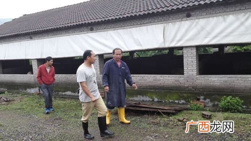 无土养殖泥鳅 金华泥鳅养殖