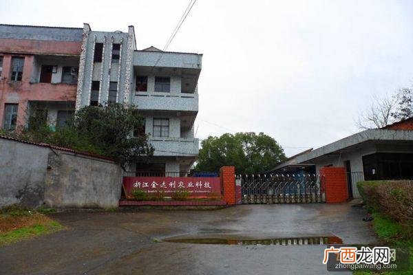 无土养殖泥鳅 金华泥鳅养殖