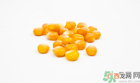 玉米粒可以钓什么鱼？玉米粒钓鱼方法