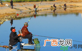 秋天钓鲤鱼用什么味型？秋季钓鲤鱼饵料味型