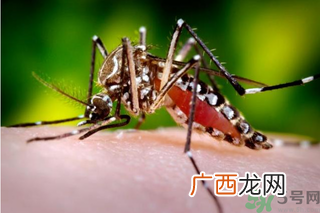 十月份还有蚊子吗？10月份还有蚊子吗？