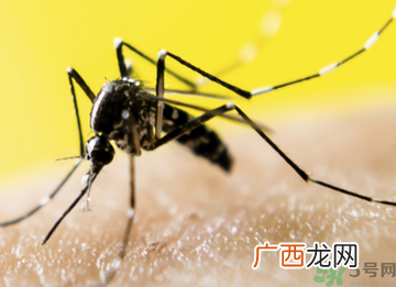 十月份还有蚊子吗？10月份还有蚊子吗？