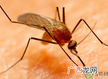 十月份还有蚊子吗？10月份还有蚊子吗？