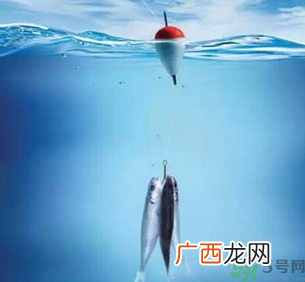 秋天钓鱼深水还是浅水？秋天钓鱼钓深水还是浅水？