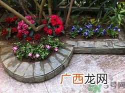 10月份可以种什么花?10月份种花好吗