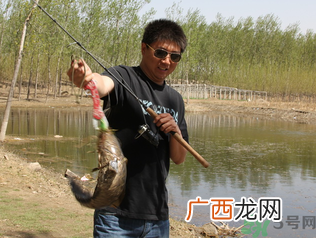 秋季钓黑鱼用什么鱼饵？秋天钓黑鱼用什么饵？