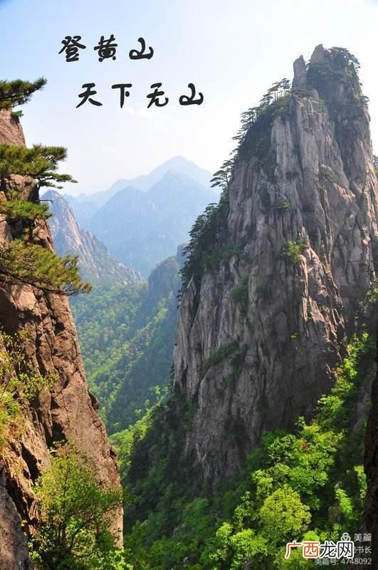 荷花啤酒哪个品牌是正宗的,荷花啤酒代理