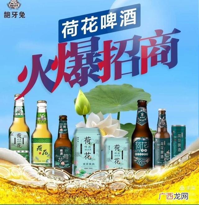荷花啤酒哪个品牌是正宗的,荷花啤酒代理