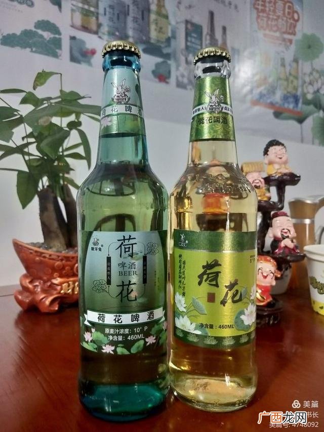 荷花啤酒哪个品牌是正宗的,荷花啤酒代理