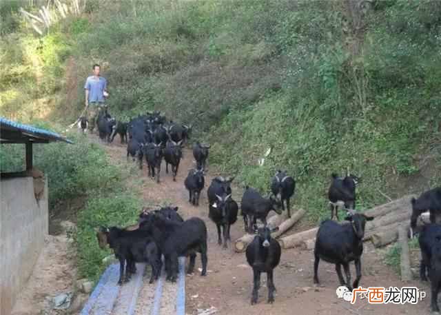养殖场怎么才算规范 什么是养殖场