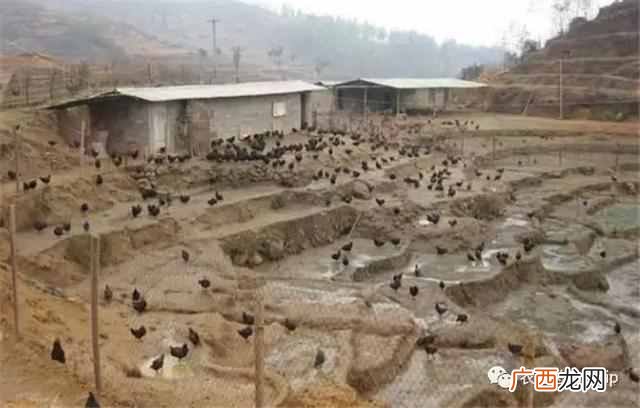 养殖场怎么才算规范 什么是养殖场