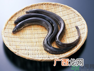 十月份可以钓黄鳝吗？黄鳝可以钓到几月份？