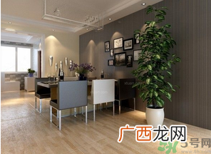 桂花树可以种在室内吗？桂花树适合在室内吗？