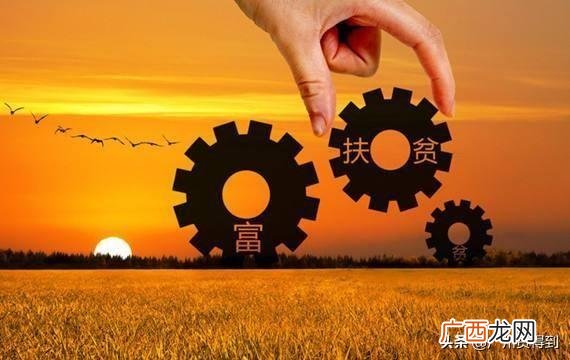信用社贷款办理流程 信用社信用贷款办理条件放宽