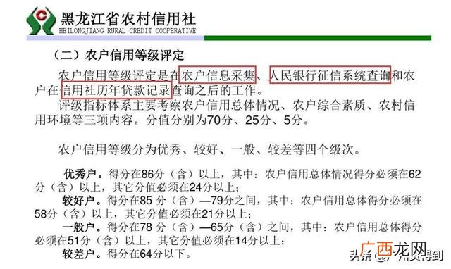 信用社贷款办理流程 信用社信用贷款办理条件放宽