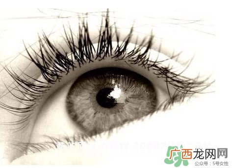 眼睛前面有黑影是怎么回事?眼睛前面有黑影是什么病?