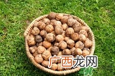 经常手转核桃油什么好处？手转核桃的作用有哪些？
