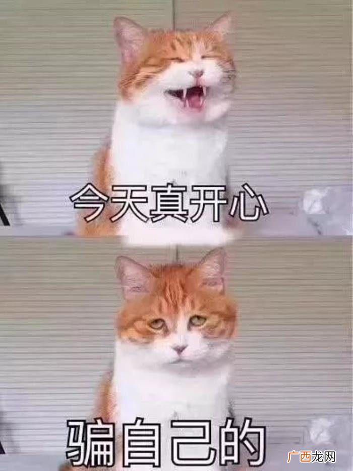 天天踩空间的90后 踩踩空间