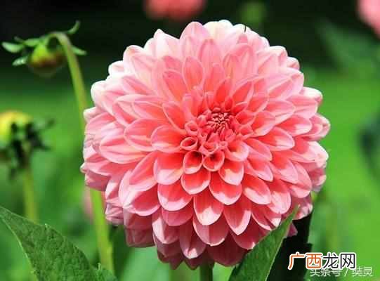 肠胃不好怎么办？有暖气怎么办