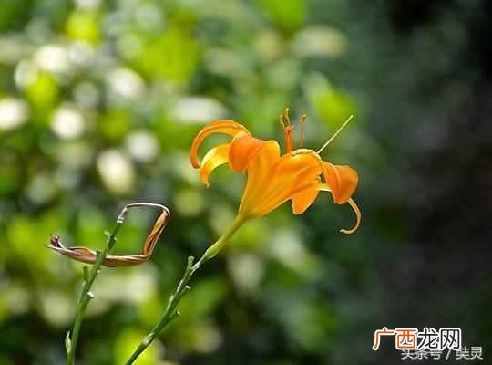 肠胃不好怎么办？有暖气怎么办