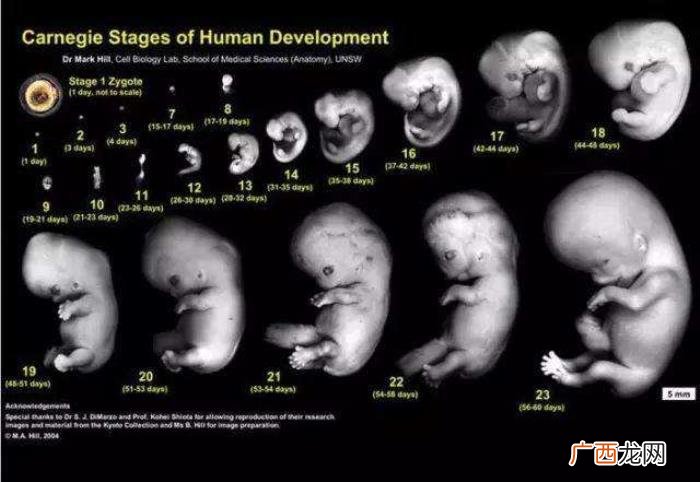 女人为生孩子到底付出了多少 女人生孩子要付出多少