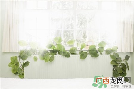 开暖气后嗓子疼是怎么回事?开暖气干燥怎么办?