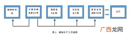 农村小型养猪场猪舍图 建小型养猪场多少钱
