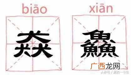 三个马念什么？生僻字大合集，快来涨涨知识