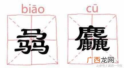 三个马念什么？生僻字大合集，快来涨涨知识