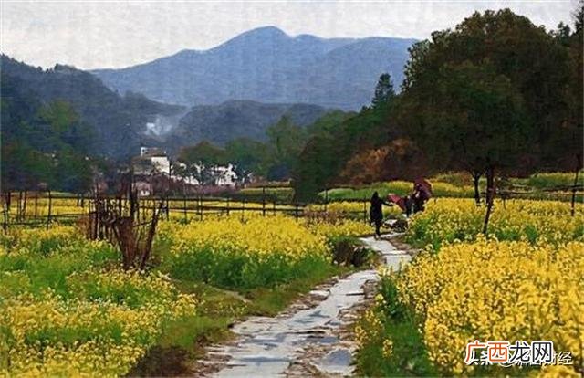 适合农村开的十五种店,未来农村发展趋势和走向