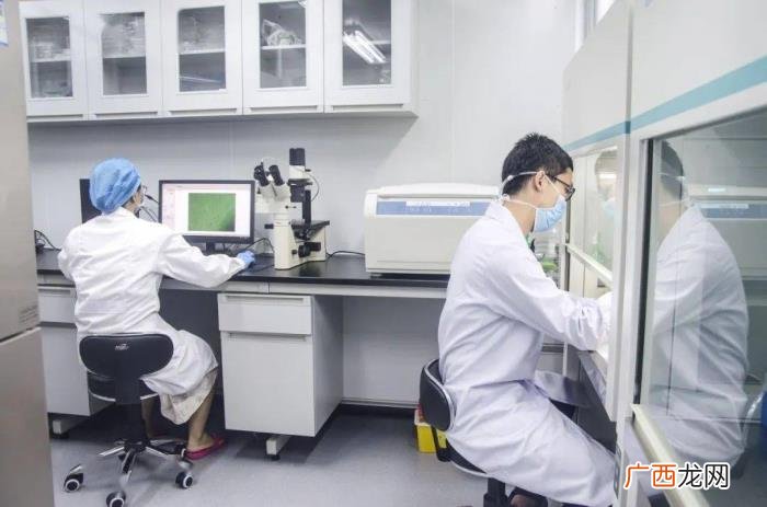 亲子鉴定的费用一般是多少，做亲子鉴定需要多少钱